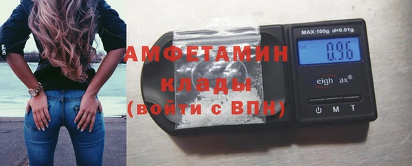 шишки Алексин