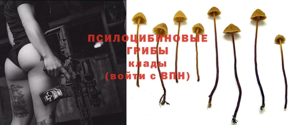 индика Алексеевка