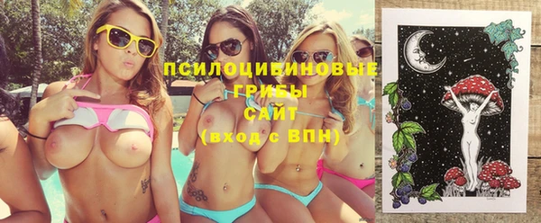 шишки Алексин