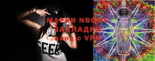 хмурый Магас