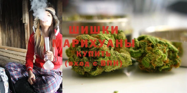 шишки Алексин