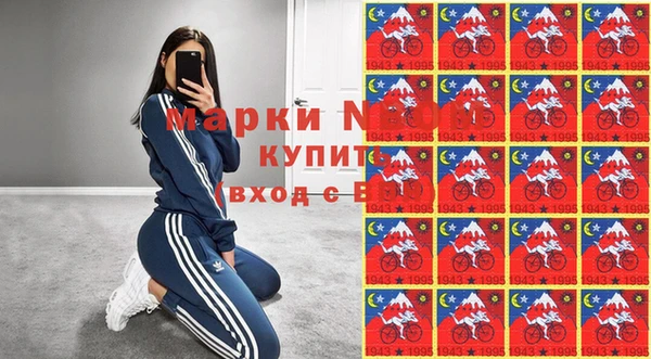шишки Алексин