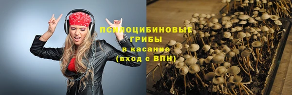 шишки Алексин
