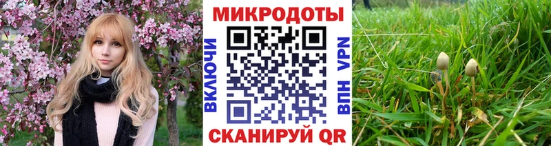 Псилоцибиновые грибы прущие грибы где можно купить mega ССЫЛКА Асбест